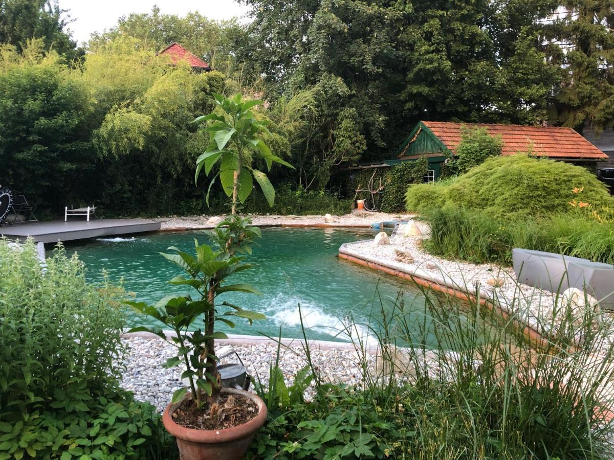 Haus Mit Sauna Und Privatem Badeteich In Anif Bei Salzburg Экстерьер фото